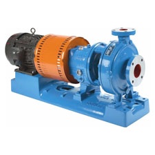 goulds-3196-iframe-process-pump.jpg