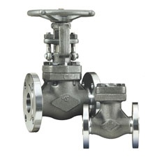 dsi-forged-steel-globe-valve.jpg
